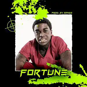 Picture for song 'Polo G x Lil Durk x Kodak Black Type Beat-Fortune' by artist 'sange beats'