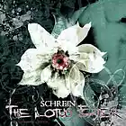 Picture for song 'Somnambulus' by artist 'Schrein'