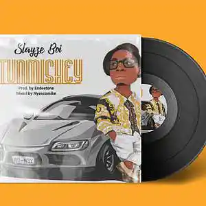 Picture for song 'Tunmishey slayzboi' by artist 'Slayzboi1'