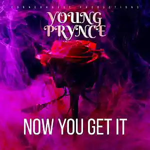 Picture for song 'NOW YOU GET IT (PROD. FAV & HOODZ)' by artist 'Young Prynce'