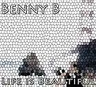 Picture for song 'Life is Beautiful' by artist 'Ben Barbic'