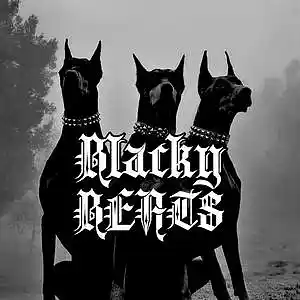 Picture for song 'On the road' by artist 'BLVCKY'