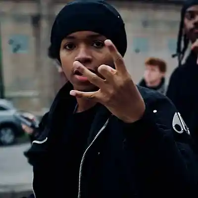 Picture for song 'Ninja' by artist 'BrOwn Pro'