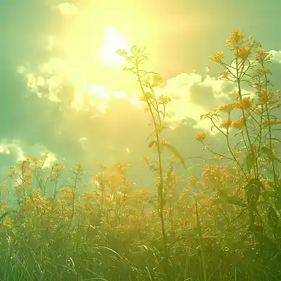 Picture for song '01_Let's Chase the Sun_Clint Lavens' by artist 'Clint Lavens'