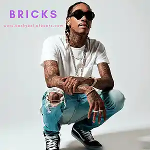Picture for song 'Bricks' by artist 'Cocky Belief Beats'