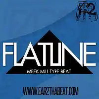 Picture for song 'FLATLINE' by artist 'EAR 2 THA BEAT'
