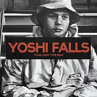 Picture for song 'Yoshi Falls *FREE DL* (Buy 1 Get 3 Free)' by artist 'Larkin Beats'