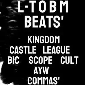 Picture for song 'Commas'' by artist 'Lit-ticle Oyez Brands Manufacturer'