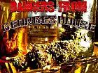 Picture for song 'Kush From Prophet Da Producer' by artist 'M I C Aka The Rockford Prophet'