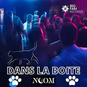 Picture for song 'Dans La Boite V. CHat' by artist 'Noom'