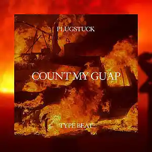Picture for song 'Count My Guap' by artist 'plugstuck'