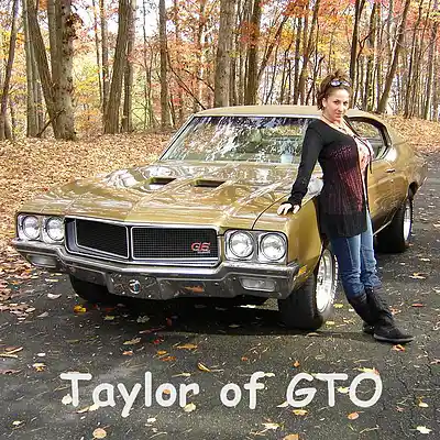 Picture for song 'GTO - Do That To Me' by artist 'Taylor of GTO'