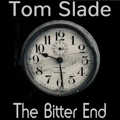 Picture for song 'The Bitter End' by artist 'Tom Slade'