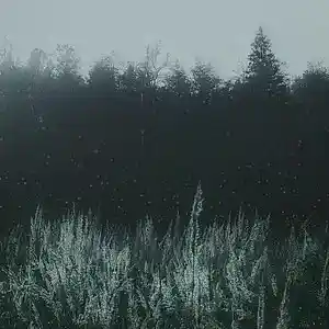 Picture for song 'Halloween Type Beat - "Shaded' by artist 'wheyliese'