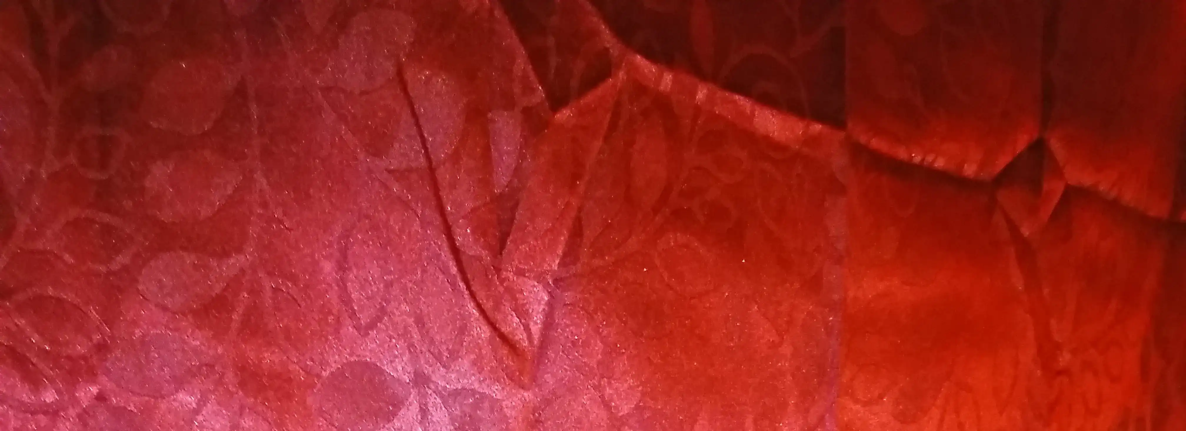 cover pic
