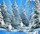 Picture for song 'Winterwonderland' by artist 'Amy Caldwell and Tom Moore'