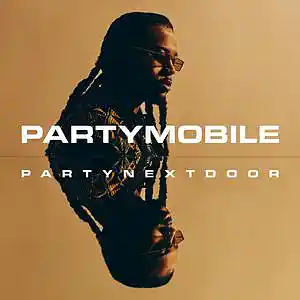 Picture for song 'PARTYNEXTDOOR' by artist 'doctor-drip'