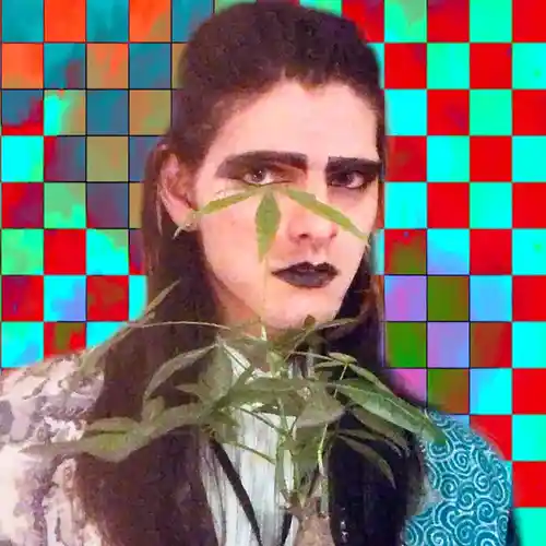 Artist picture