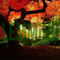 Picture for song 'LEMMiNO - Salvation (FREE DOWNLOAD)' by artist 'LEMMiNO'