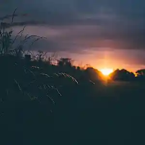 Picture for song 'Royal (Buy 1 Get 4 Free)' by artist 'Lonz Kid'