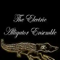 Picture for song 'The Electric Alligator plays Fantasy 1996 Mo.4' by artist 'Michael Palmieri'