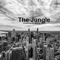Picture for song '132 BPM The Jungle Produced By Nickoli' by artist 'NickoliBeats'