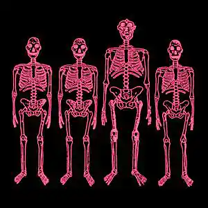 Picture for song 'Otherwise' by artist 'someP'