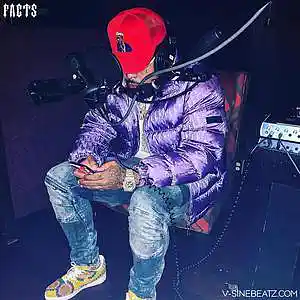 Picture for song 'Facts (Buy 1 Get 1-3 FREE)' by artist 'V-Sine Beatz'