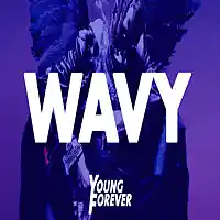 Picture for song 'Wavy (Prod. By Young Forever Beats)' by artist 'Young Forever Beats'