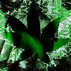 Picture for song 'Who Hurt You?' by artist 'Cannabis Sativa'