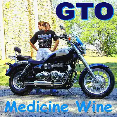 Song picture of 'Medicine Wine'