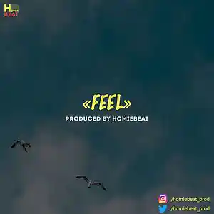 Picture for song 'Feel' by artist 'Homiebeat'