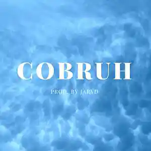 Picture for song 'Cobruh' by artist 'JarydAudio'
