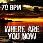 Picture for song 'Where are you now' by artist 'Paulina Steel Production'