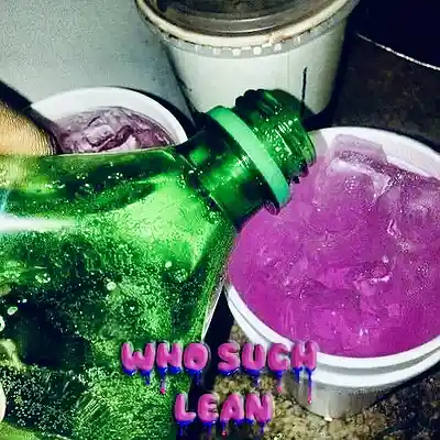 Picture for song 'Who Such - Lean' by artist 'Who such'