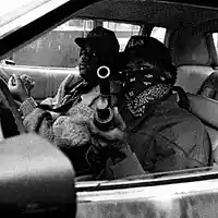 Picture for song 'WWYD' by artist 'ZERO FUX WORLD'