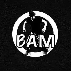 Picture for song 'BAM' by artist '2riffick'