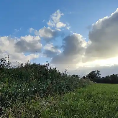 Picture for song '20240707_220919GotTheContrkl_fs_1 FS' by artist '786 scheint-Al'lahs Bande'