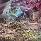 Picture for song 'The Rising' by artist 'Adam B'