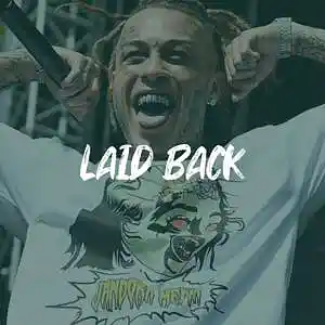 Picture for song 'Chris Brown x Lil Skies Type Beat - "LAID BACK"' by artist 'ErieBeats'