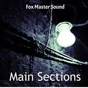 Picture for song 'Main Sections' by artist 'Ilya Wandf'