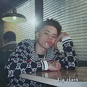 Picture for song 'LIL MOSEY x LIL SKIES x LIL TECCA TYPE BEAT' by artist 'Lip Shark'