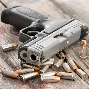 Picture for song 'Murda' by artist 'Magnificent Music Group'