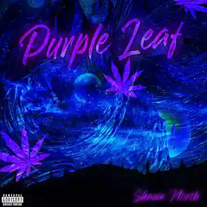 Picture for song 'Purple Leaf' by artist 'Shawn North'