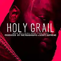 Picture for song 'Holy Grail' by artist 'TheToughGuys'