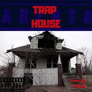 Picture for song 'TRAP house' by artist 'CosaNostraTrippyy'