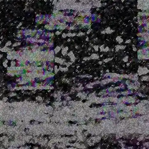 cover pic