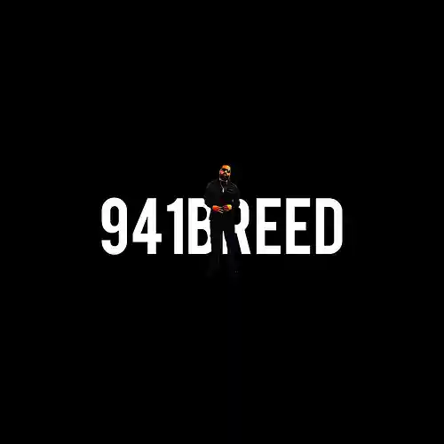 cover pic