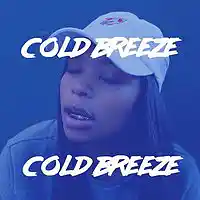 Picture for song 'Migos x Kodie Shane Type Beat Cold Breeze' by artist 'DJ Dana Lu'