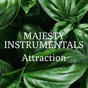 Picture for song 'Attraction' by artist 'MAJESTY INSTRUMENTALS'